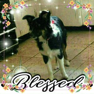 Meet your Posher, Tenna